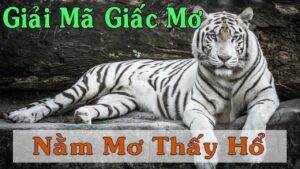 Giấc mơ thấy hổ