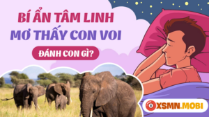 giấc mơ thấy voi